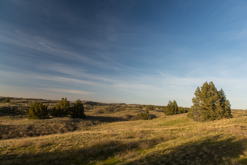 Juniper trees, rolling hills, and blue sky. Can it get any better?