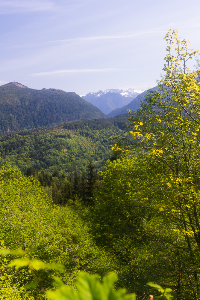 View to the north (central Cascades)
